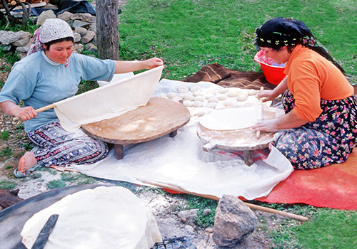 TOROS TANDIRLIK